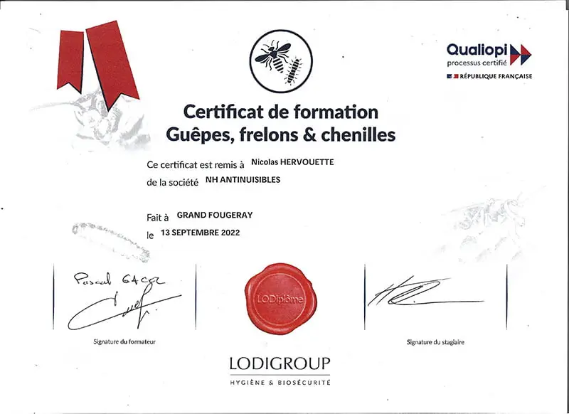 Certificat frelons Montbert
